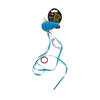 פטקס משחק לחתול עכבר עם שרוכים