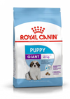 רויאל קנין כלב ג'יאנט פאפי 15 ק"ג