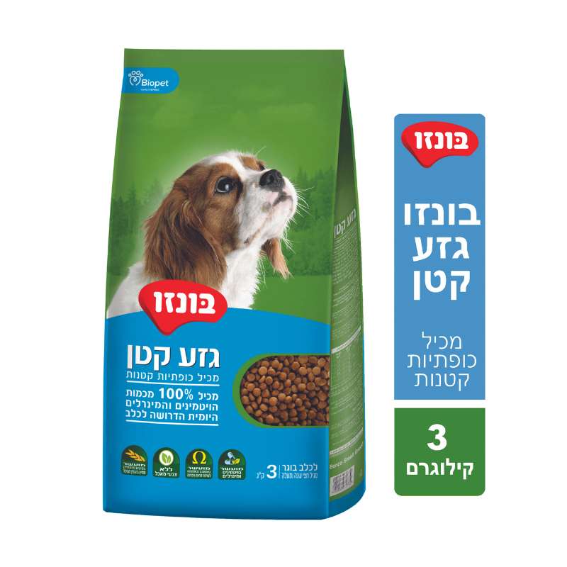 בונזו גזע קטן